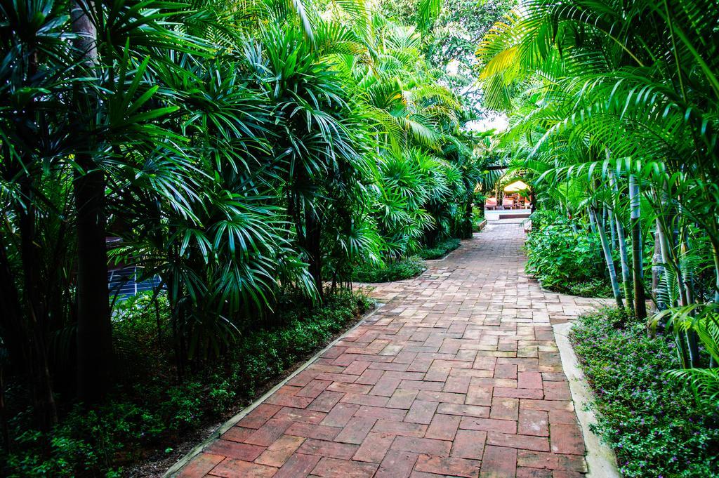 Baanpong Lodge San Kamphaeng Exterior photo